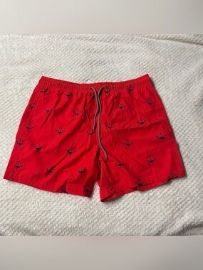 Men's BIWISY Swim Trunks XL